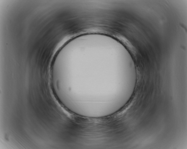 X0000097831286200803140820