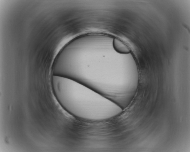 X0000097831287200803140820