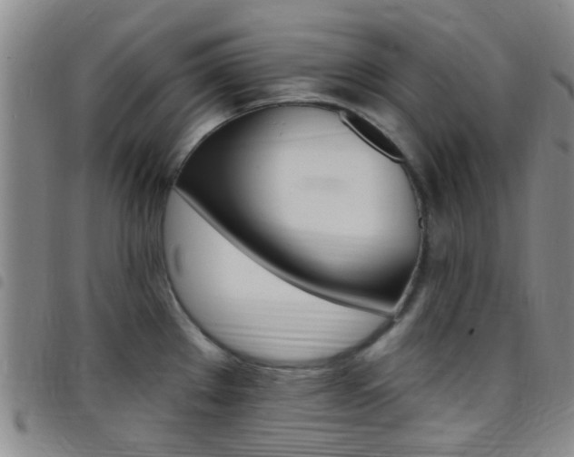 X0000097831289200803140820
