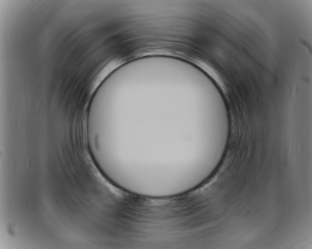 X0000097831290200803140820