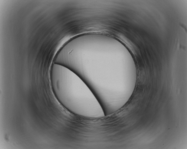 X0000097831291200803140819