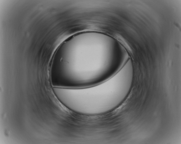 X0000097831292200803140819