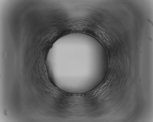 X0000097831297200803140819