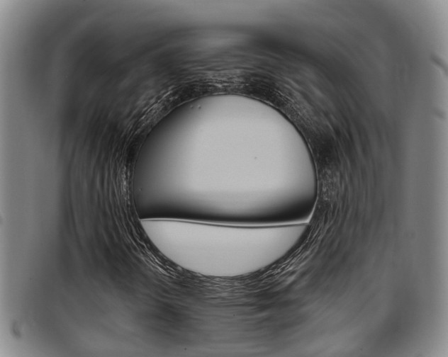 X0000097831298200803140819