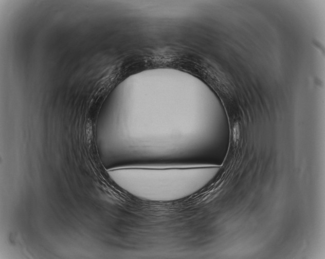 X0000097831299200803140819