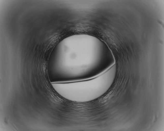 X0000097831300200803140819