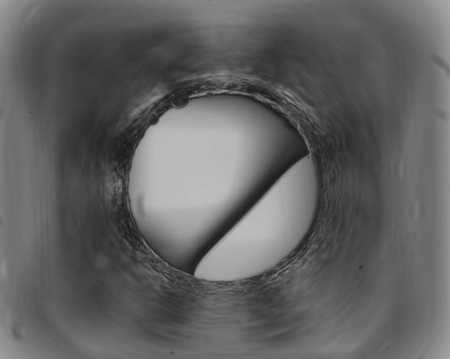 X0000097831302200803140819