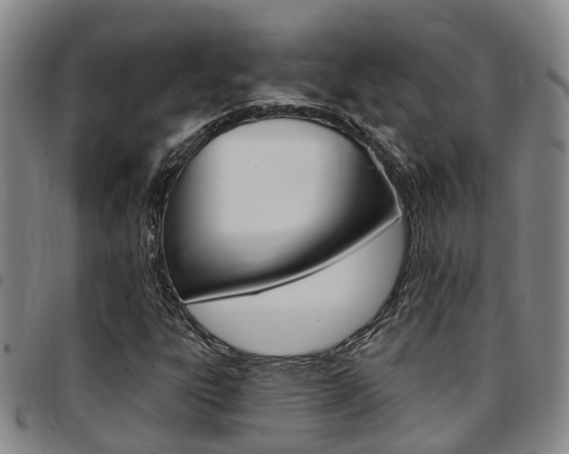 X0000097831303200803140819