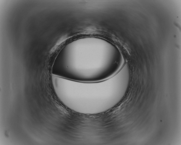 X0000097831304200803140819