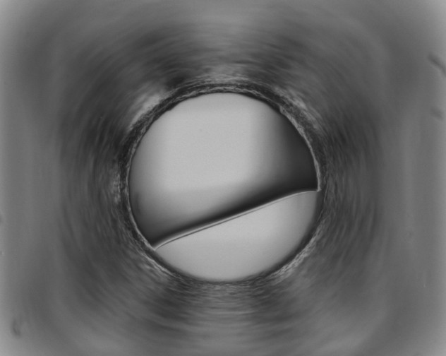 X0000097831306200803140819