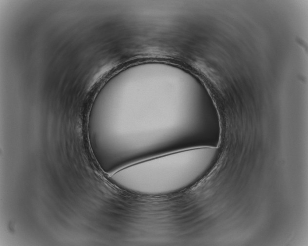 X0000097831307200803140819