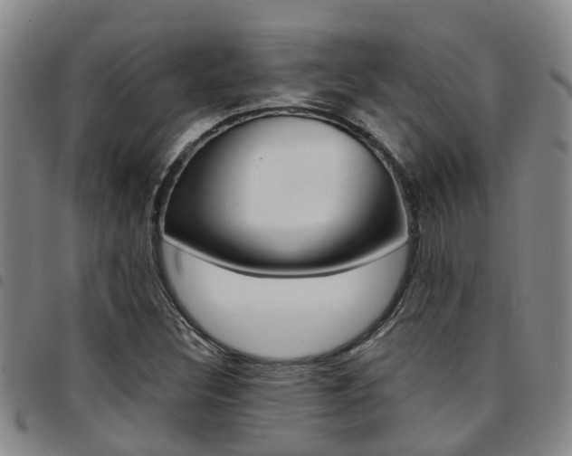X0000097831308200803140819