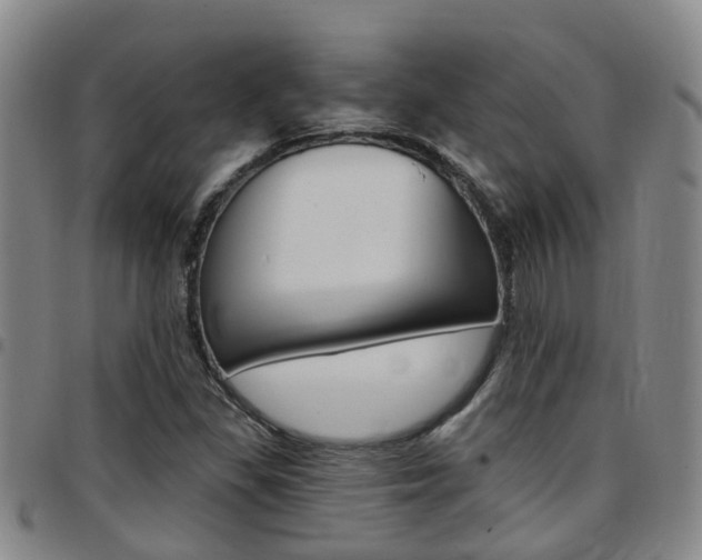 X0000097831309200803140819