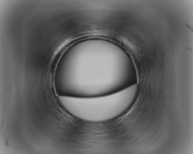 X0000097831310200803140819