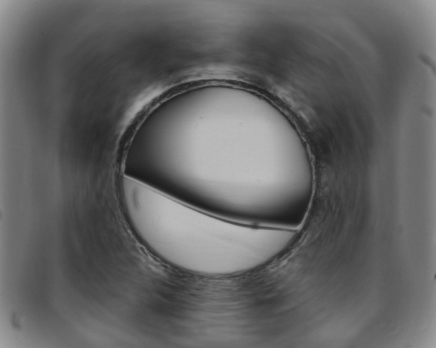 X0000097831312200803140819