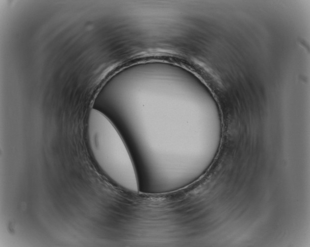 X0000097831313200803140819