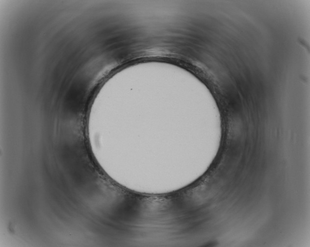 X0000097831314200803140819