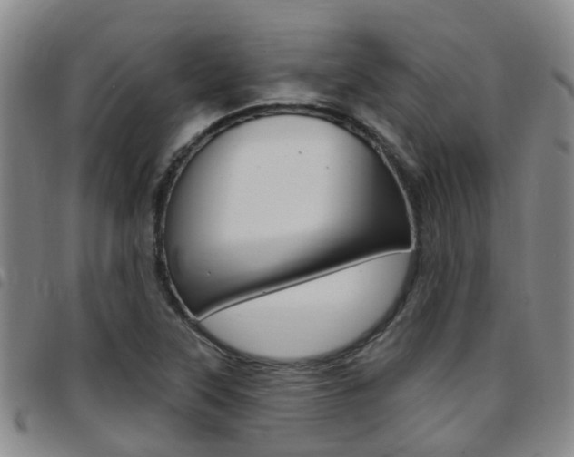 X0000097831315200803140819