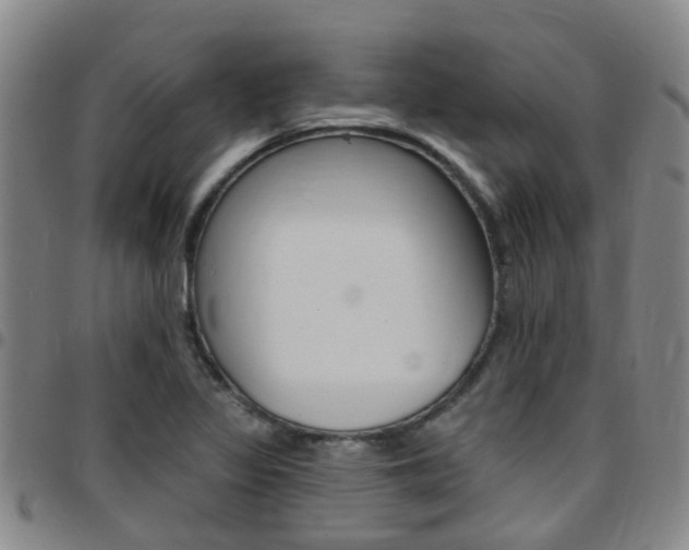 X0000097831317200803140819