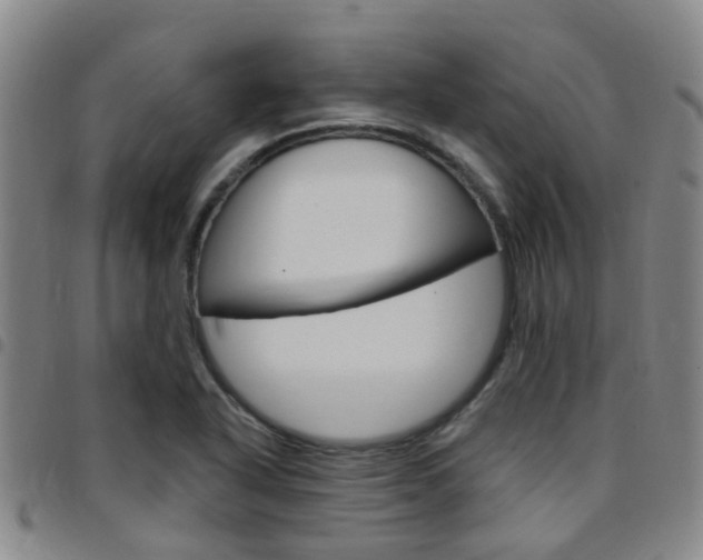 X0000097831318200803140819
