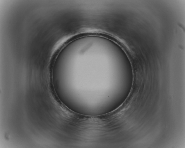 X0000097831319200803140819