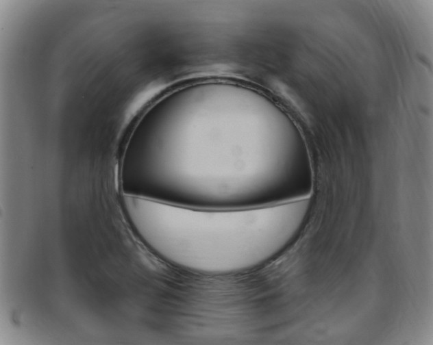X0000097831320200803140819