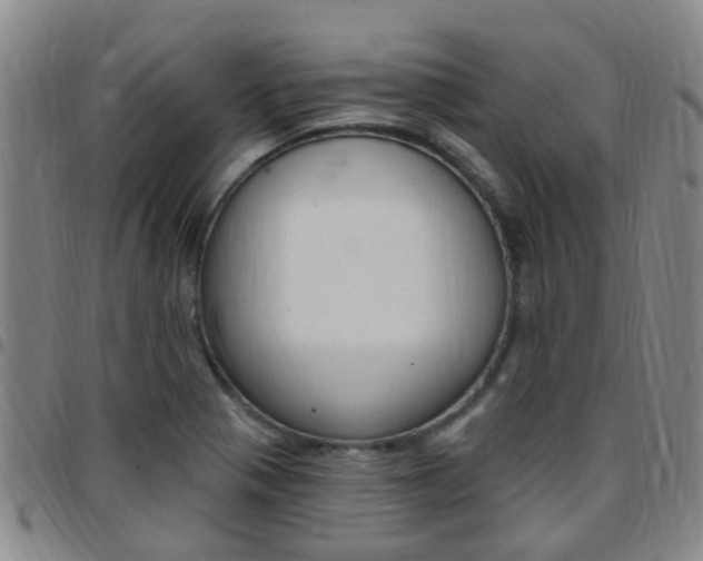 X0000097831321200803140819