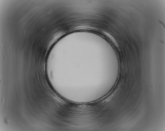 X0000097831322200803140819