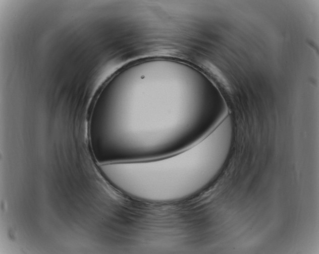 X0000097831324200803140819