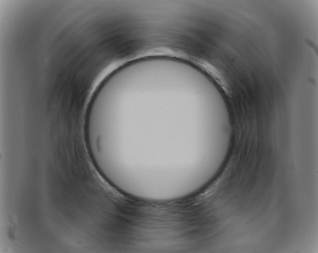 X0000097831326200803140819
