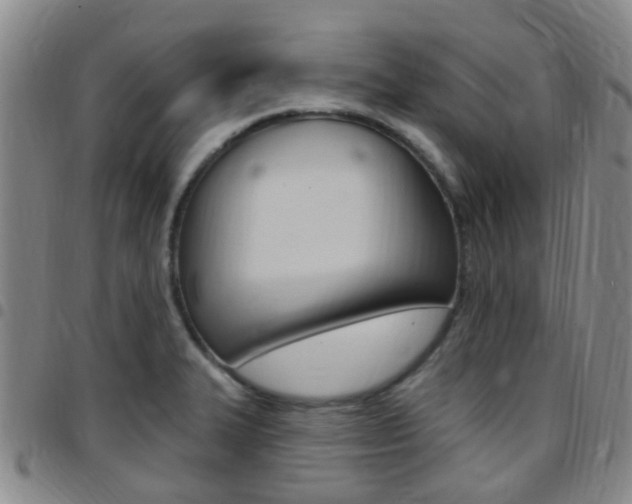 X0000097831327200803140819
