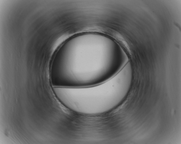 X0000097831328200803140819
