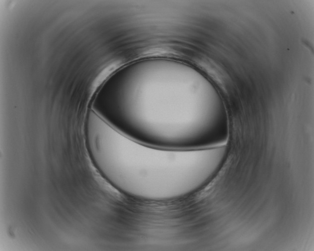 X0000097831330200803140819