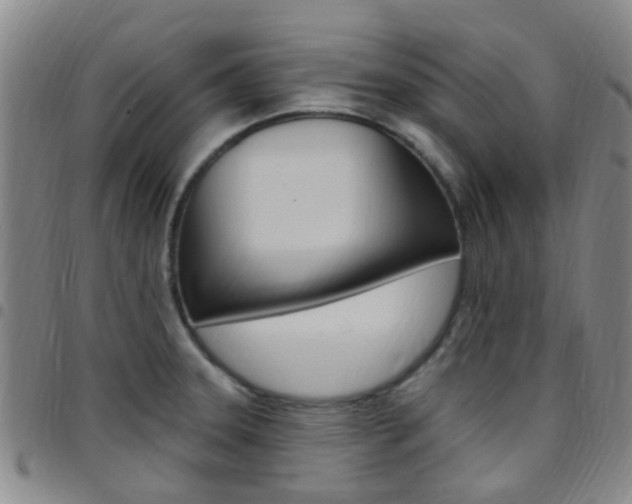 X0000097831331200803140819