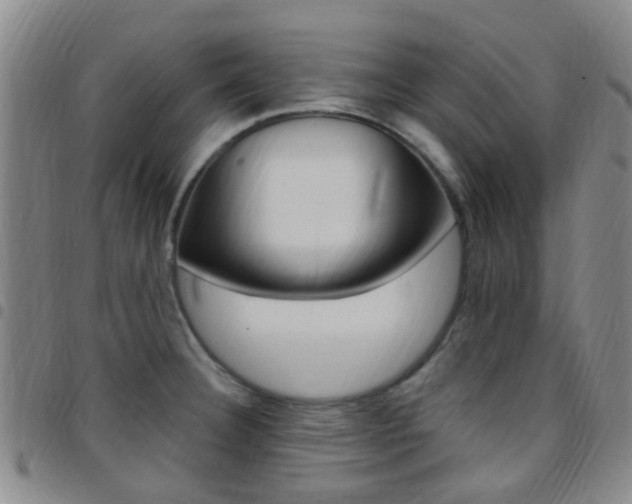 X0000097831332200803140819