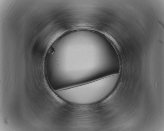 X0000097831333200803140819