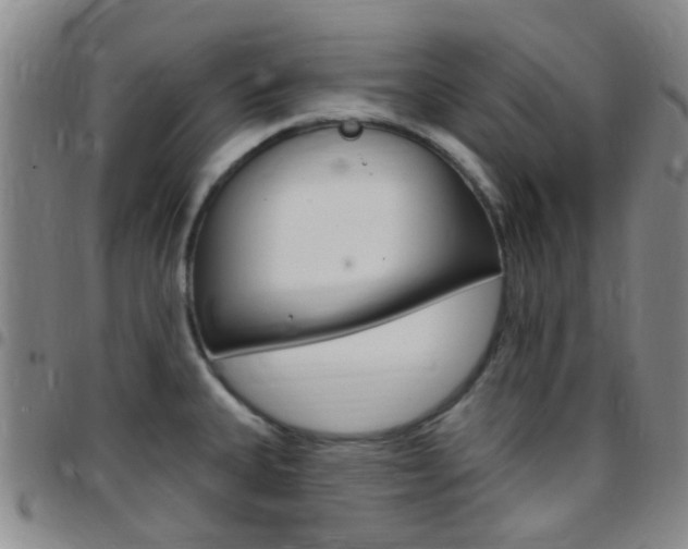 X0000097831335200803140819
