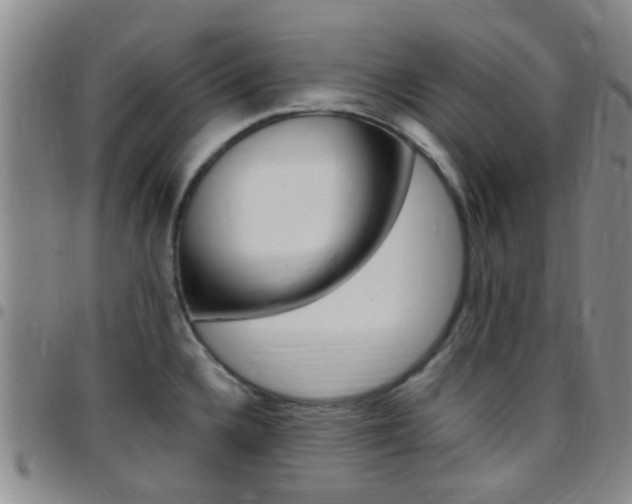 X0000097831336200803140819