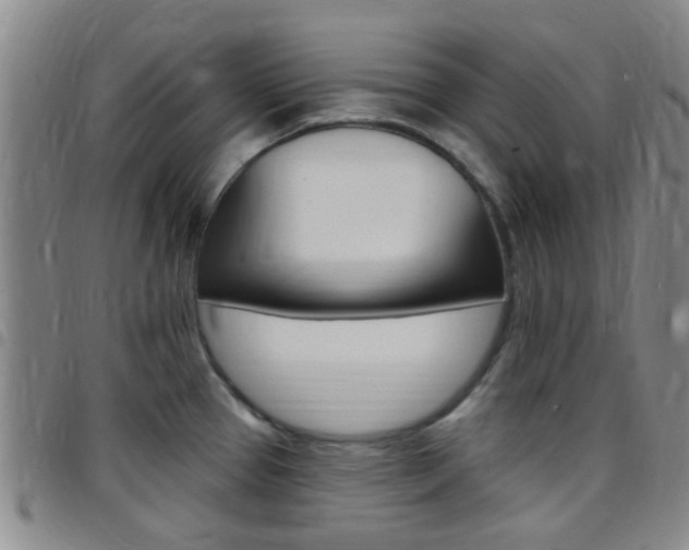 X0000097831337200803140819