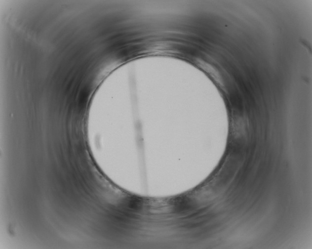 X0000097831338200803140819