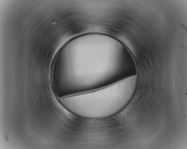X0000097831339200803140819