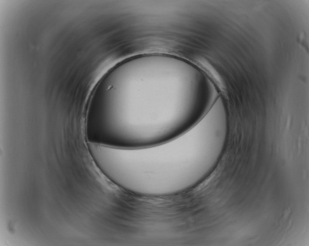 X0000097831340200803140819