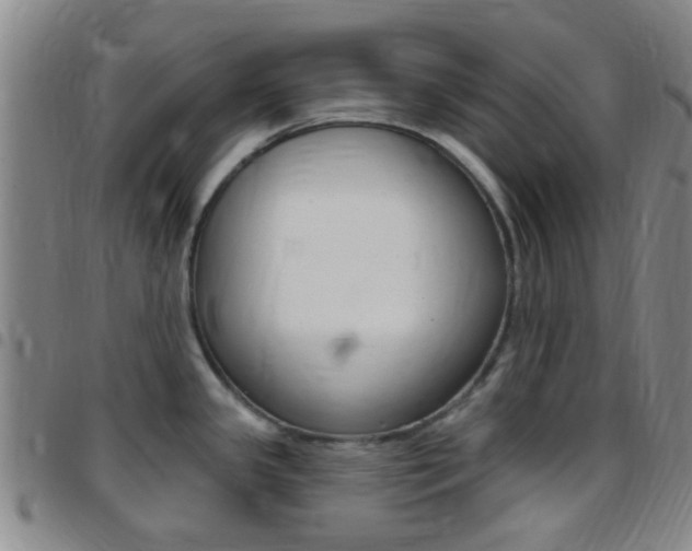 X0000097831341200803140819