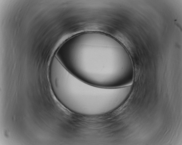 X0000097831342200803140819