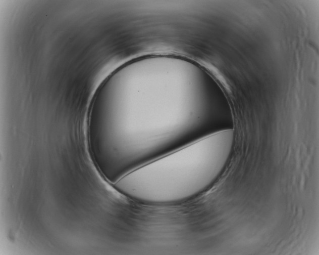 X0000097831343200803140819