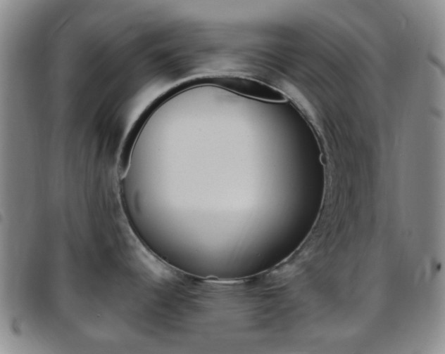 X0000097831344200803140819