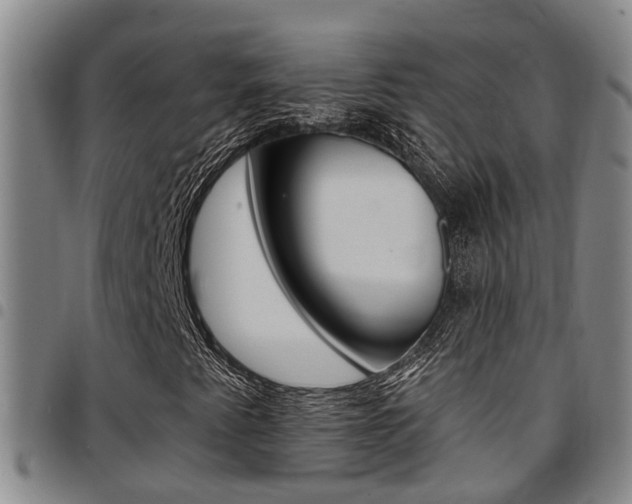 X0000097831345200803140819