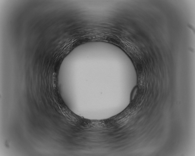X0000097831346200803140819