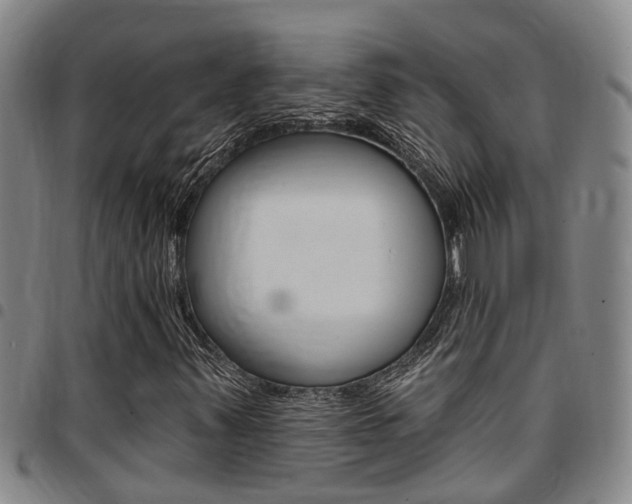 X0000097831347200803140819