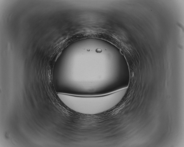 X0000097831348200803140819